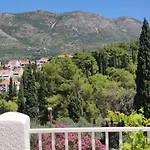 Kipre Cavtat