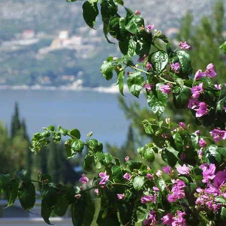 Kipre Pensionat Cavtat