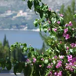 Kipre Gasthuis Cavtat