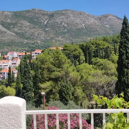 Kipre Cavtat